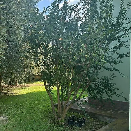 Guest house Il Melograno