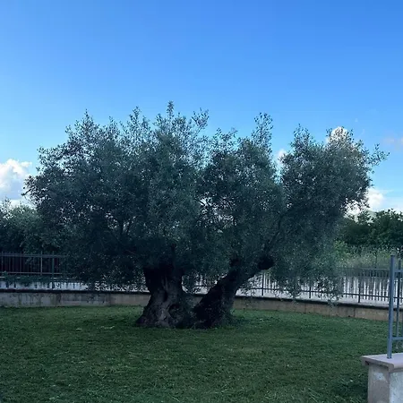Il Melograno Spoleto